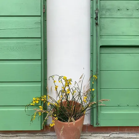 Casa Ribellino Prázdninový dům Campiglia Marittima