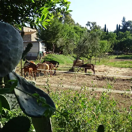 Casa Ribellino Casa vacanze
